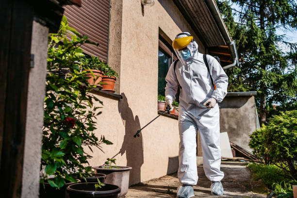 Best Pest Control Near Me in Roosevelt Park, MI