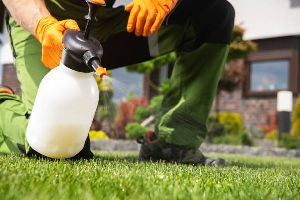 Best Flea Control Services  in Roosevelt Park, MI