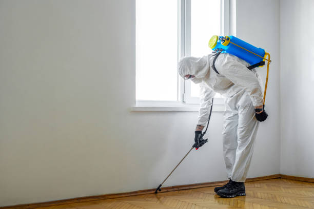 Pest Control for Restaurants in Roosevelt Park, MI