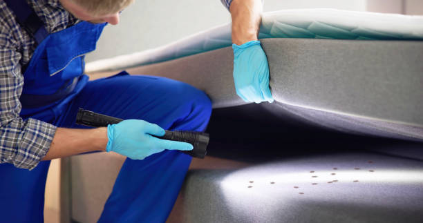 Best Pest Inspection Near Me  in Roosevelt Park, MI