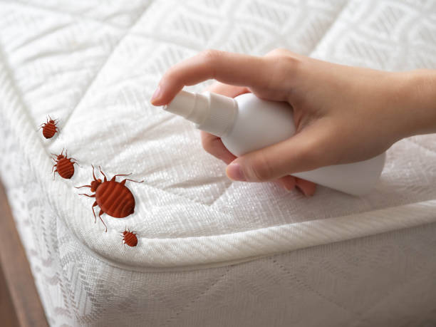 Best Bed Bug Extermination  in Roosevelt Park, MI