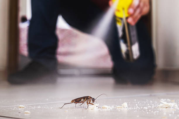 Best Pest Control Near Me  in Roosevelt Park, MI