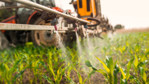 Best Pest Control Cost  in Roosevelt Park, MI